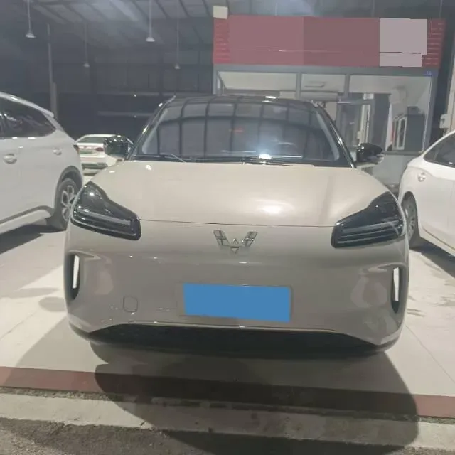 2024 WuLing BinGuoPLUS BEV 50.6KWH,autocango,china used car exporter,china ev exporter,chinese used car exporter,chinese used ev exporter