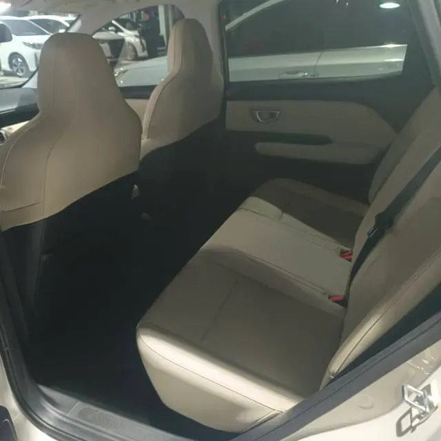 2024 WuLing BinGuoPLUS BEV 50.6KWH,autocango,china used car exporter,china ev exporter,chinese used car exporter,chinese used ev exporter