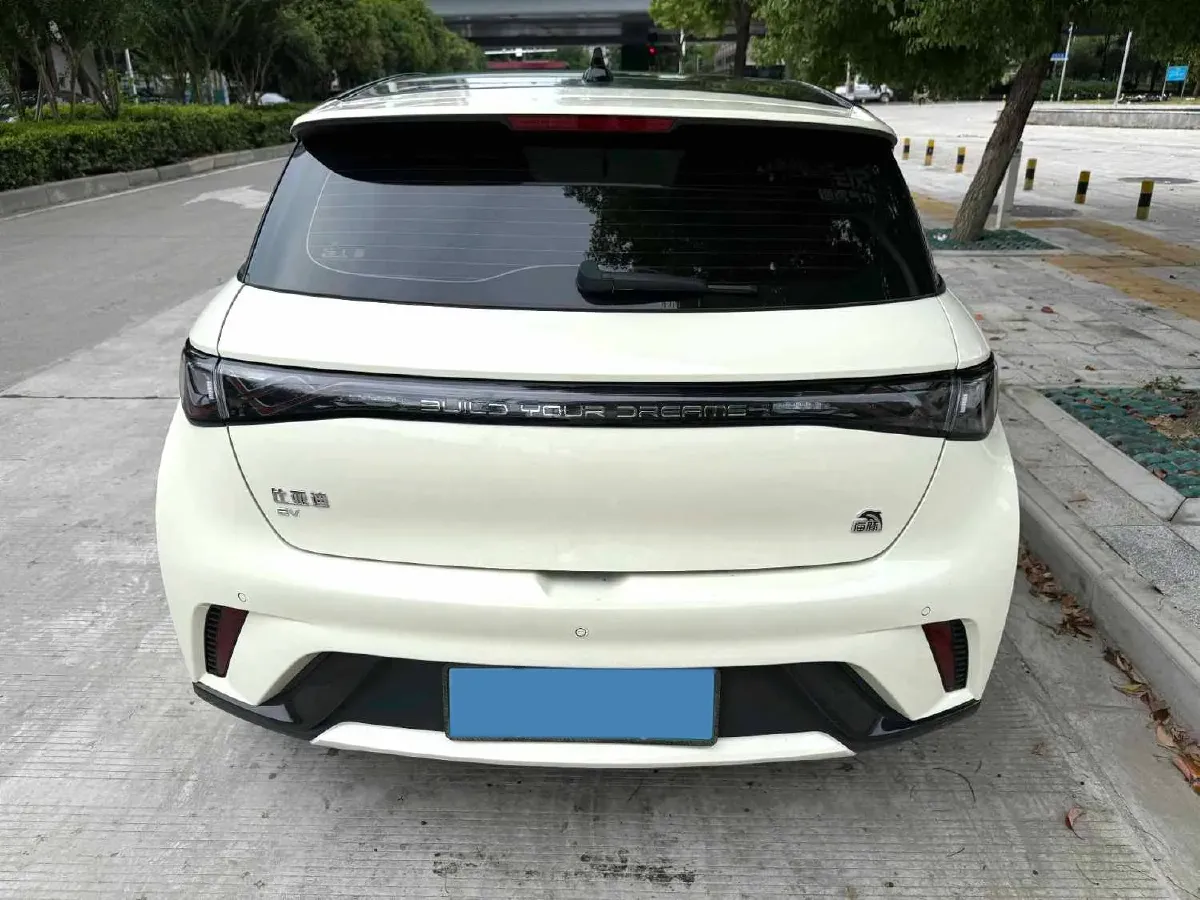 2023 BYD Dolphin BEV 44.928KWH,autocango,china used car exporter,china ev exporter,chinese used car exporter,chinese used ev exporter