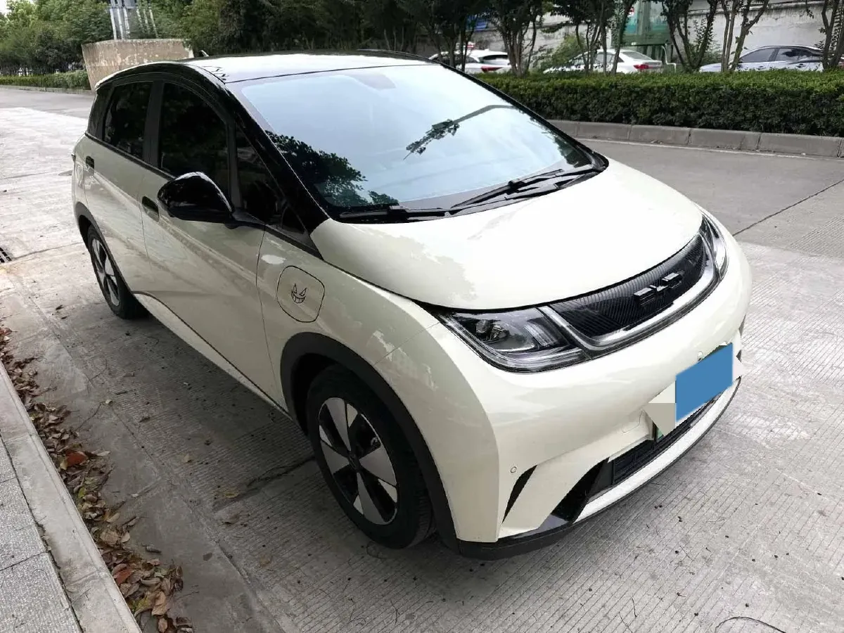 2023 BYD Dolphin BEV 44.928KWH,autocango,china used car exporter,china ev exporter,chinese used car exporter,chinese used ev exporter