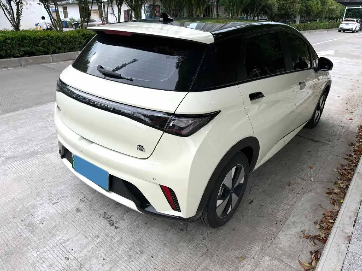 2023 BYD Dolphin BEV 44.928KWH,autocango,china used car exporter,china ev exporter,chinese used car exporter,chinese used ev exporter