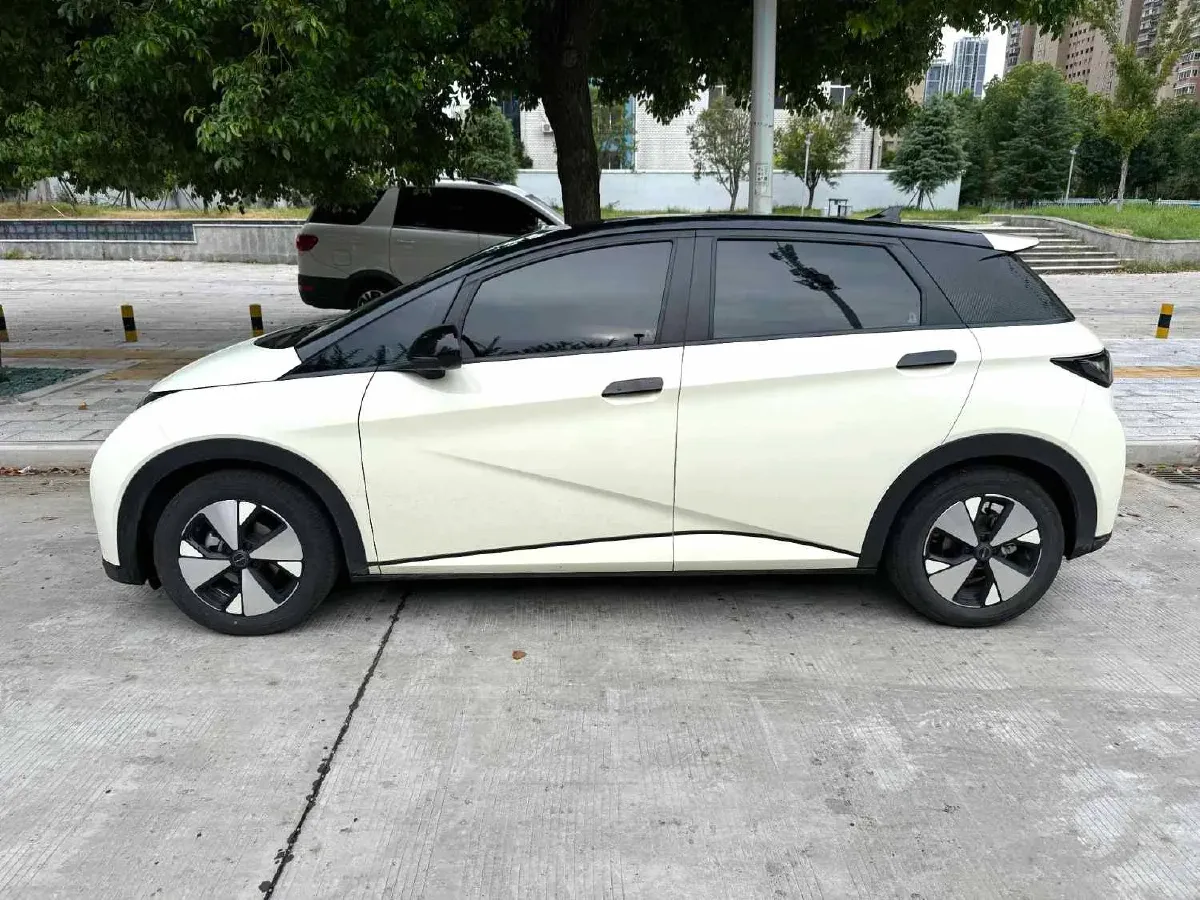 2023 BYD Dolphin BEV 44.928KWH,autocango,china used car exporter,china ev exporter,chinese used car exporter,chinese used ev exporter