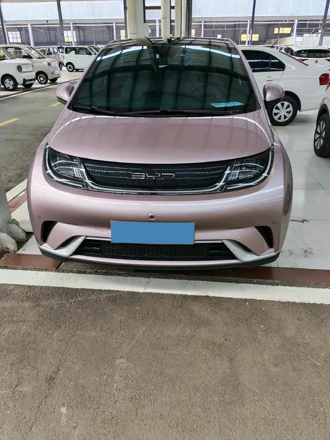 2023 BYD Dolphin BEV 44.928KWH,autocango,china used car exporter,china ev exporter,chinese used car exporter,chinese used ev exporter
