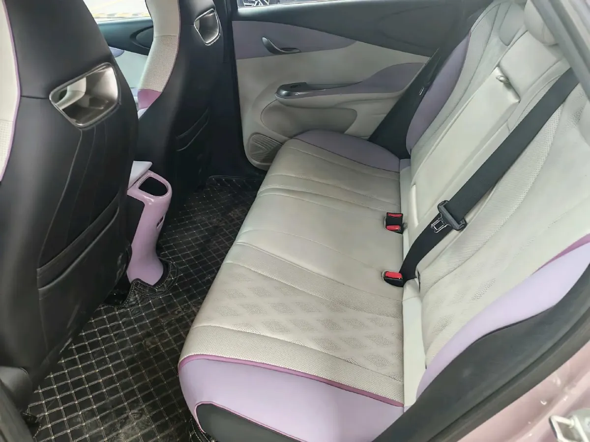 2023 BYD Dolphin BEV 44.928KWH,autocango,china used car exporter,china ev exporter,chinese used car exporter,chinese used ev exporter