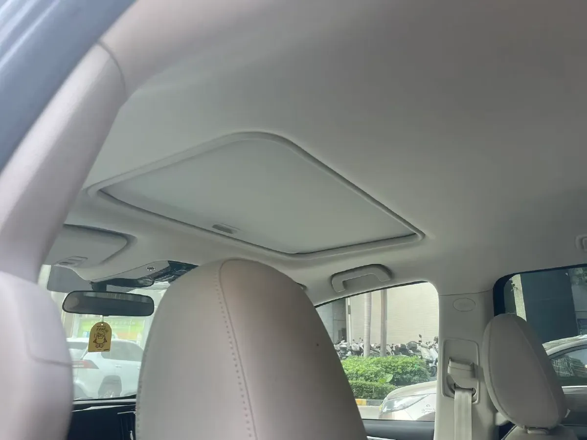 2023 GAC Trumpchi M8 2.0T 252HP L4 8AT,autocango,china used car exporter,china ev exporter,chinese used car exporter,chinese used ev exporter