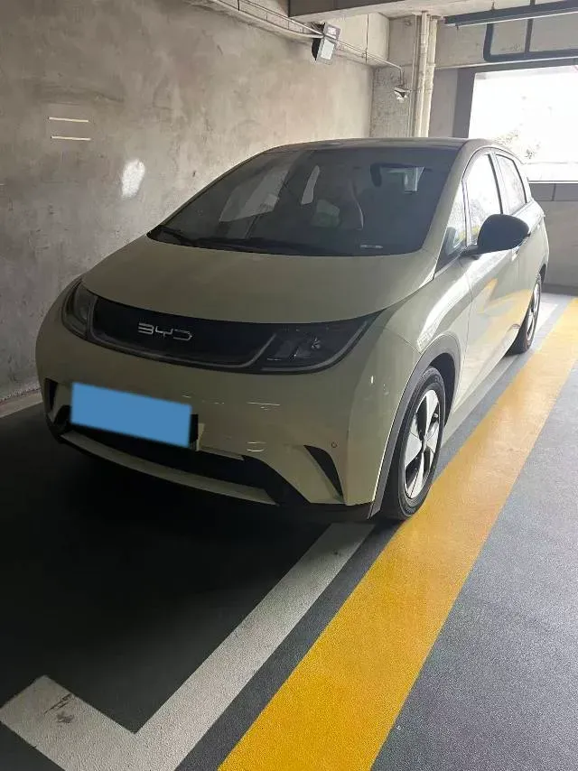 2023 BYD Dolphin BEV 44.928KWH,autocango,china used car exporter,china ev exporter,chinese used car exporter,chinese used ev exporter
