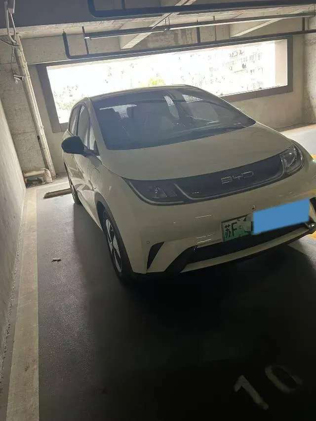 2023 BYD Dolphin BEV 44.928KWH,autocango,china used car exporter,china ev exporter,chinese used car exporter,chinese used ev exporter