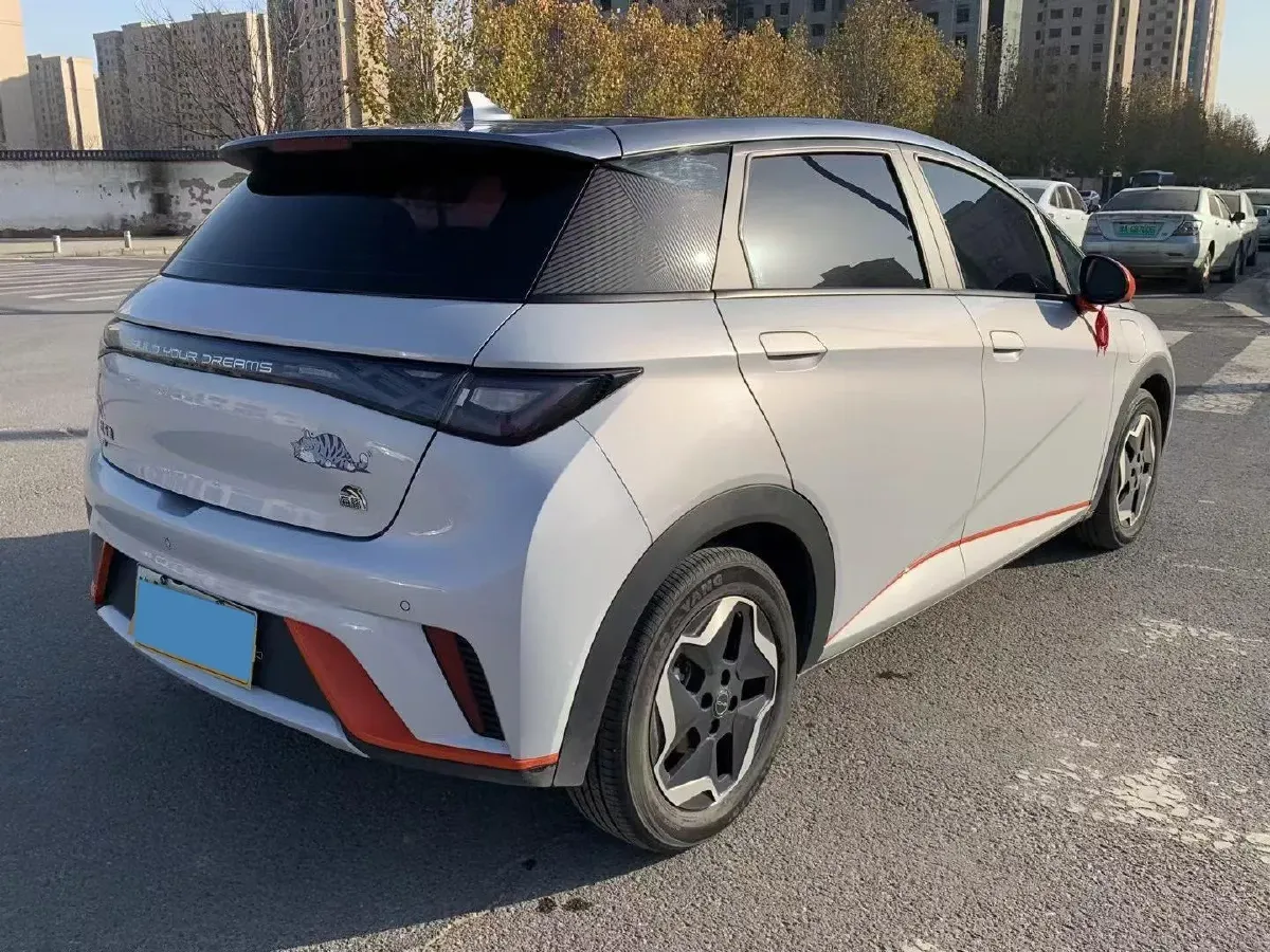 2021 BYD Yuan Pro BEV 50.1KWH,autocango,china used car exporter,china ev exporter,chinese used car exporter,chinese used ev exporter