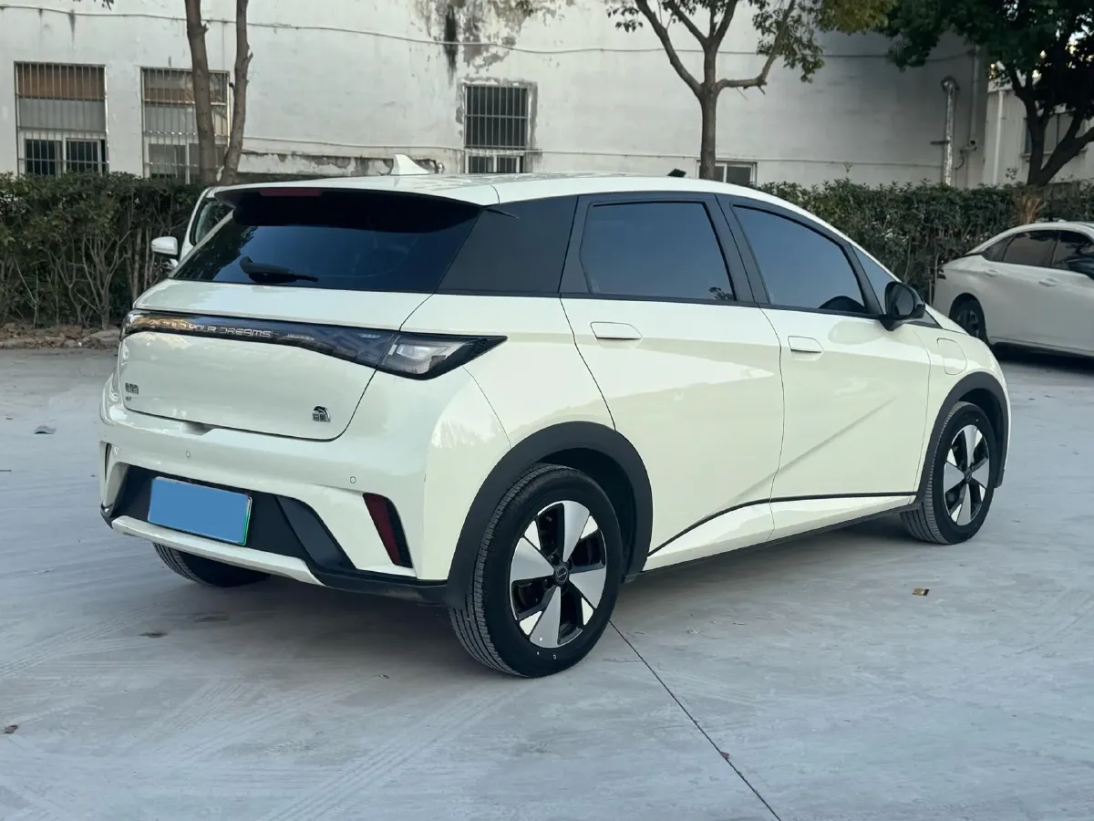2023 BYD Dolphin BEV 44.928KWH,autocango,china used car exporter,china ev exporter,chinese used car exporter,chinese used ev exporter