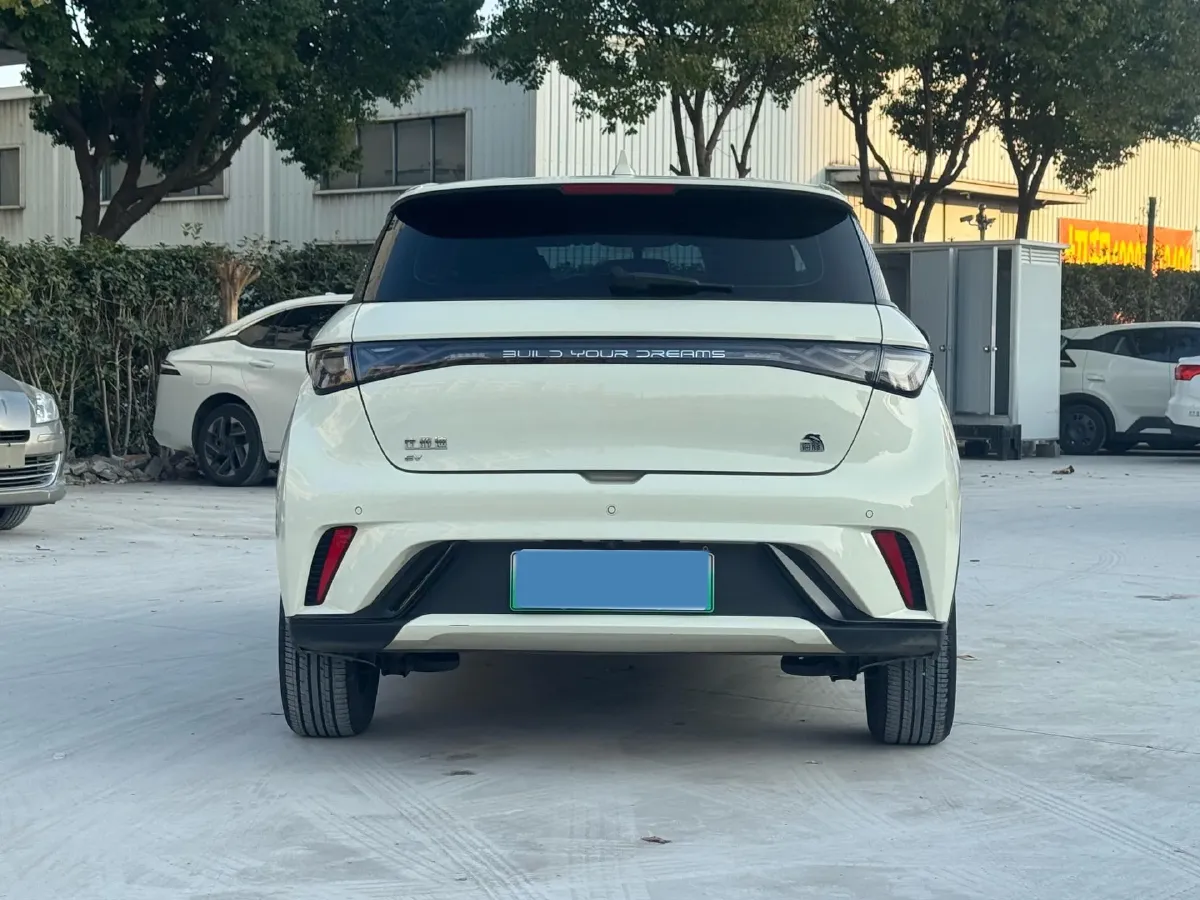 2023 BYD Dolphin BEV 44.928KWH,autocango,china used car exporter,china ev exporter,chinese used car exporter,chinese used ev exporter