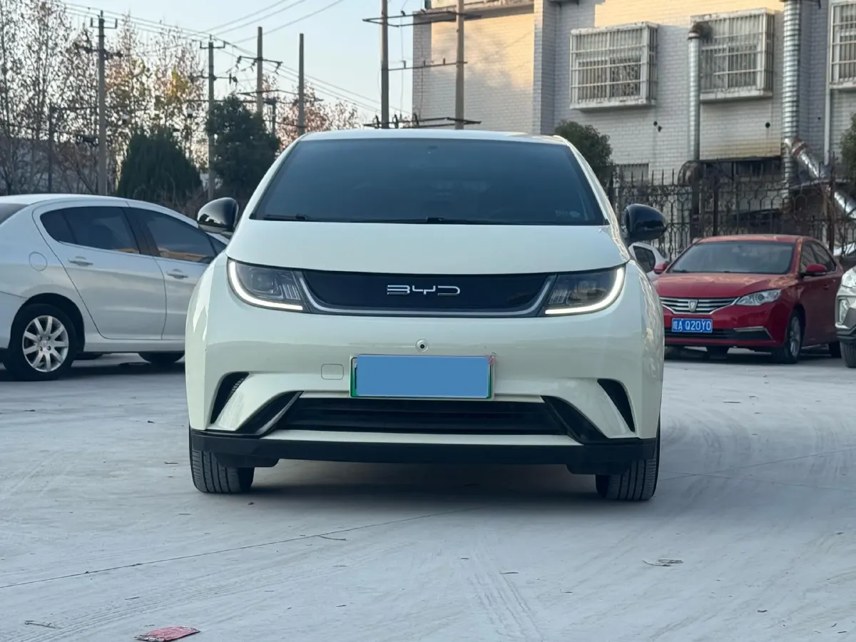 2023 BYD Dolphin BEV 44.928KWH,autocango,china used car exporter,china ev exporter,chinese used car exporter,chinese used ev exporter