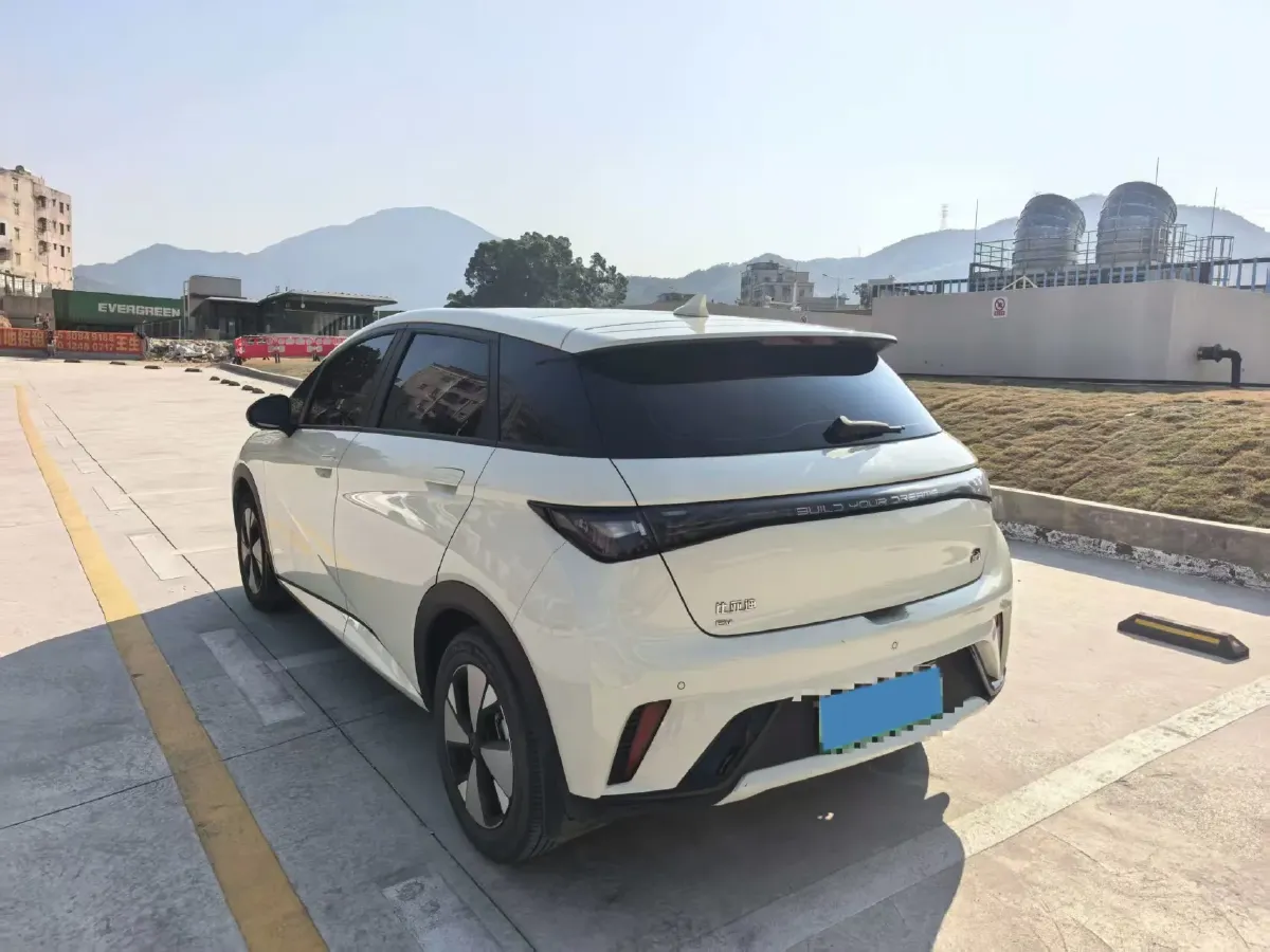 2023 BYD Dolphin BEV 44.928KWH,autocango,china used car exporter,china ev exporter,chinese used car exporter,chinese used ev exporter