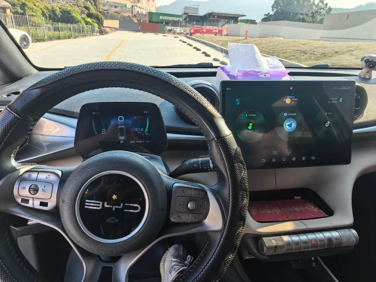 2023 BYD Dolphin BEV 44.928KWH,autocango,china used car exporter,china ev exporter,chinese used car exporter,chinese used ev exporter