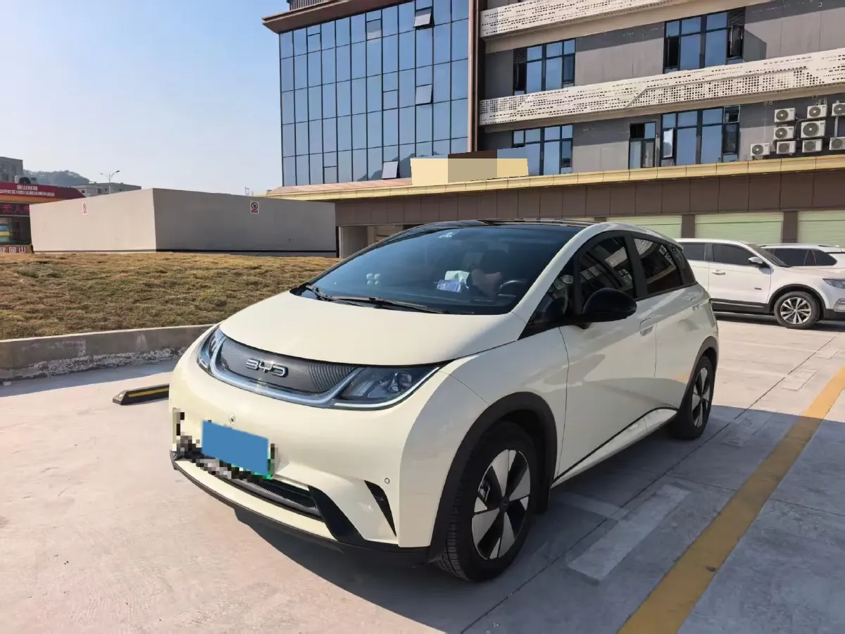 2023 BYD Dolphin BEV 44.928KWH,autocango,china used car exporter,china ev exporter,chinese used car exporter,chinese used ev exporter