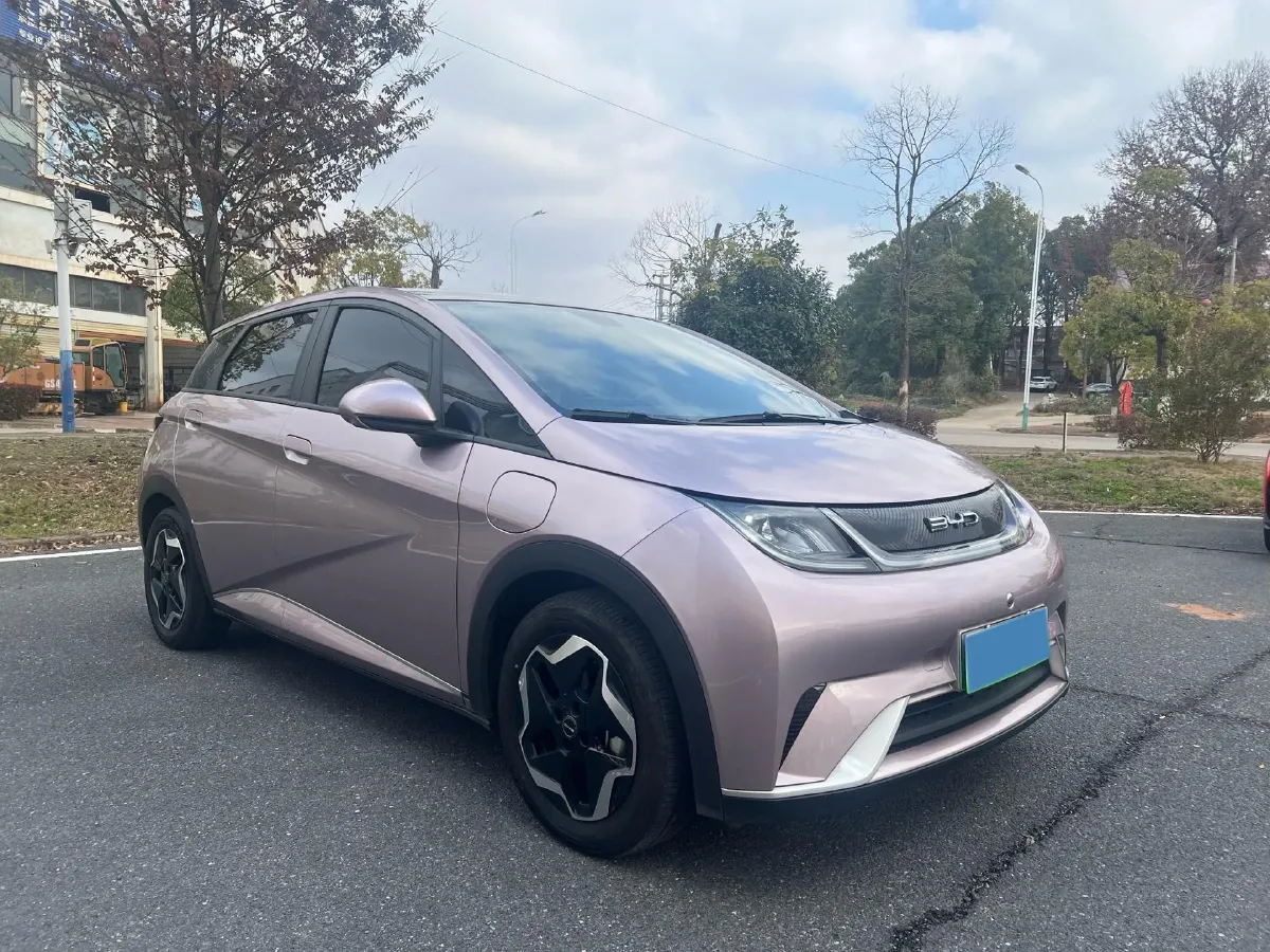 2021 BYD Yuan Pro BEV 50.1KWH,autocango,china used car exporter,china ev exporter,chinese used car exporter,chinese used ev exporter