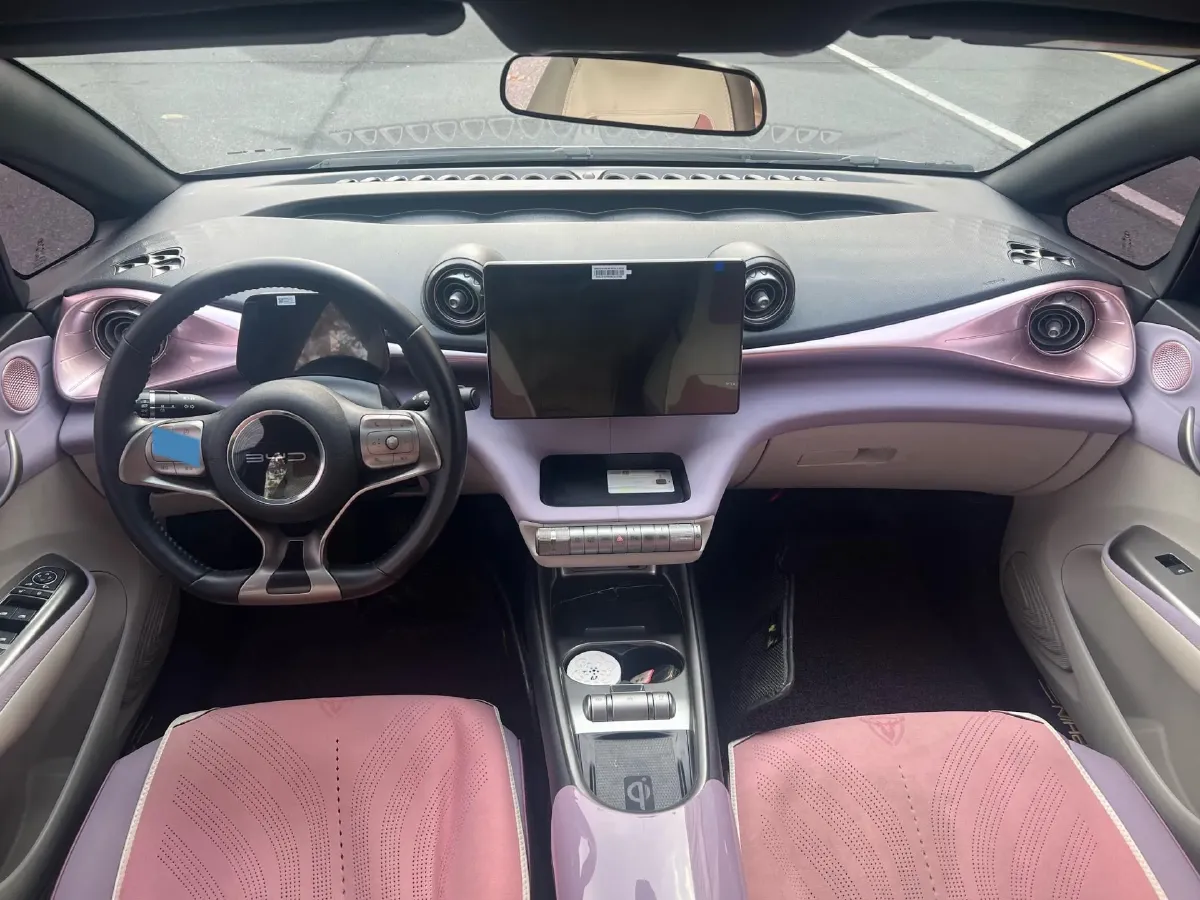 2021 BYD Yuan Pro BEV 50.1KWH,autocango,china used car exporter,china ev exporter,chinese used car exporter,chinese used ev exporter