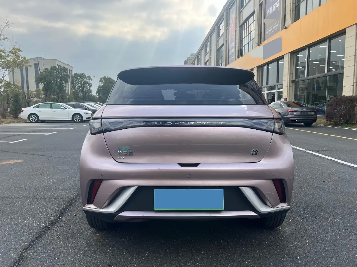 2021 BYD Yuan Pro BEV 50.1KWH,autocango,china used car exporter,china ev exporter,chinese used car exporter,chinese used ev exporter