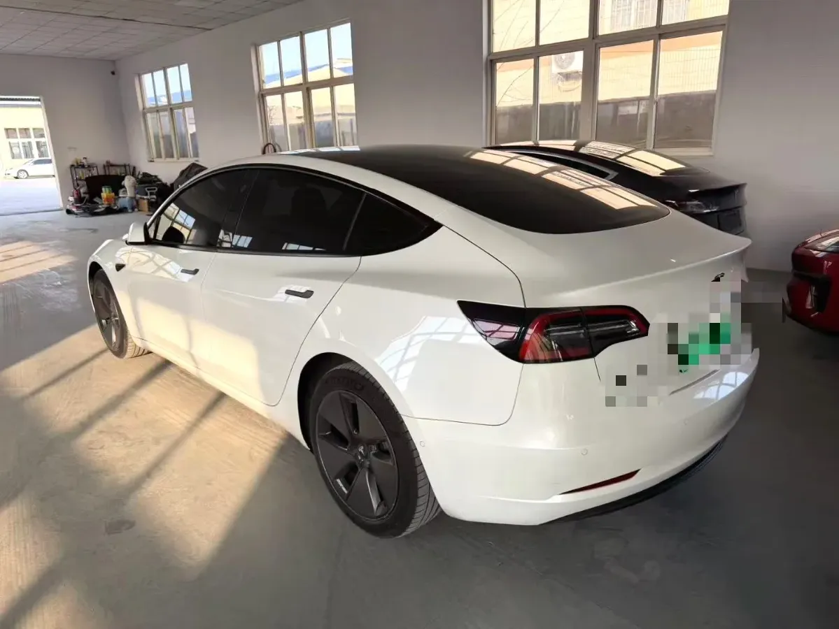 2021 Tesla Model 3 BEV 55KWH,autocango,china used car exporter,china ev exporter,chinese used car exporter,chinese used ev exporter