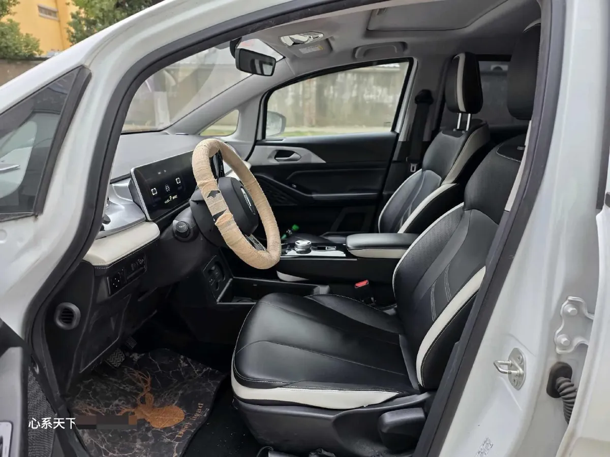 2022 Geometry E BEV 39.4KWH,autocango,china used car exporter,china ev exporter,chinese used car exporter,chinese used ev exporter