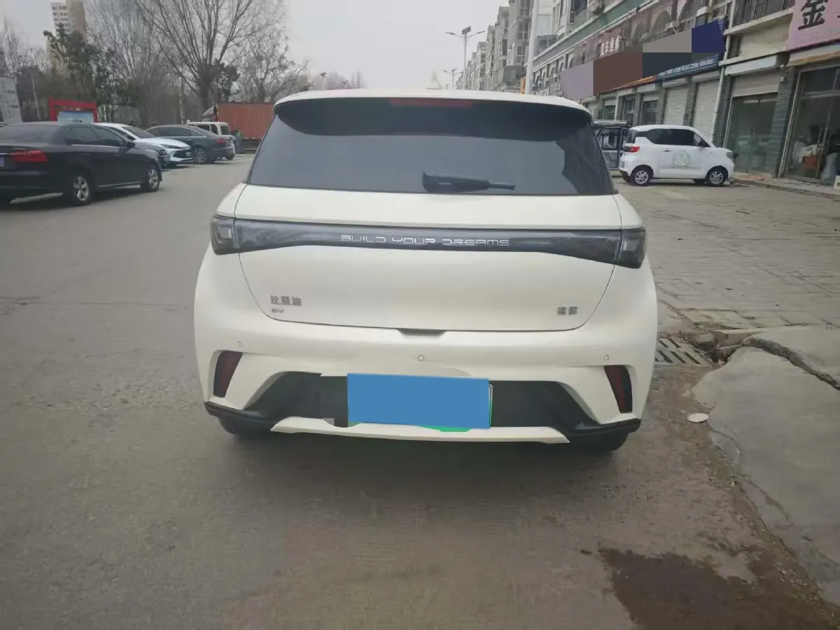 2025 BYD Dolphin BEV 44.928KWH,autocango,china used car exporter,china ev exporter,chinese used car exporter,chinese used ev exporter