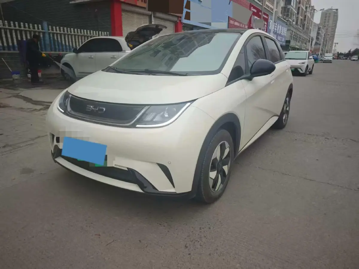 2025 BYD Dolphin BEV 44.928KWH