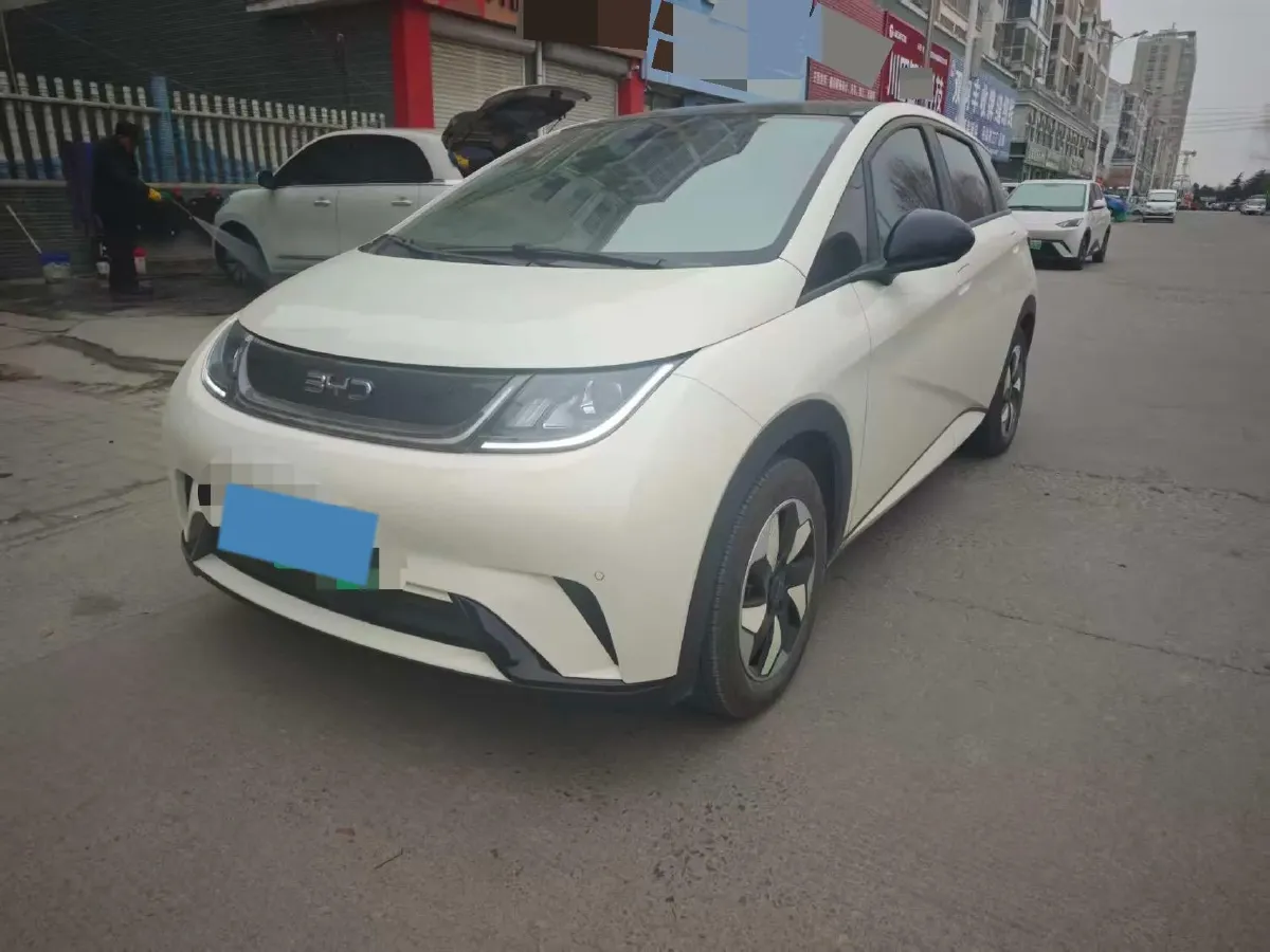 2025 BYD Dolphin BEV 44.928KWH,autocango,china used car exporter,china ev exporter,chinese used car exporter,chinese used ev exporter