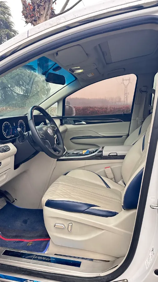 2020 Buick GL8 2.0T 237HP L4 9AT,autocango,china used car exporter,china ev exporter,chinese used car exporter,chinese used ev exporter