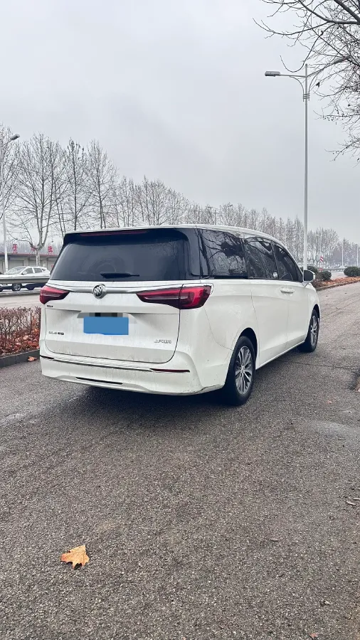 2020 Buick GL8 2.0T 237HP L4 9AT,autocango,china used car exporter,china ev exporter,chinese used car exporter,chinese used ev exporter