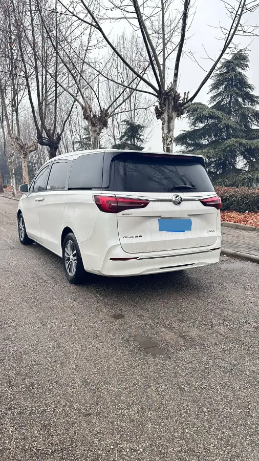 2020 Buick GL8 2.0T 237HP L4 9AT,autocango,china used car exporter,china ev exporter,chinese used car exporter,chinese used ev exporter