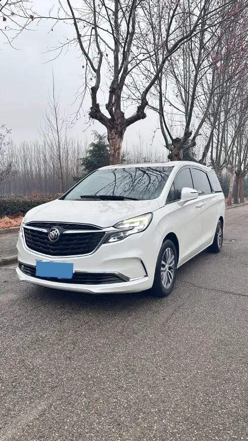 2020 Buick GL8 2.0T 237HP L4 9AT