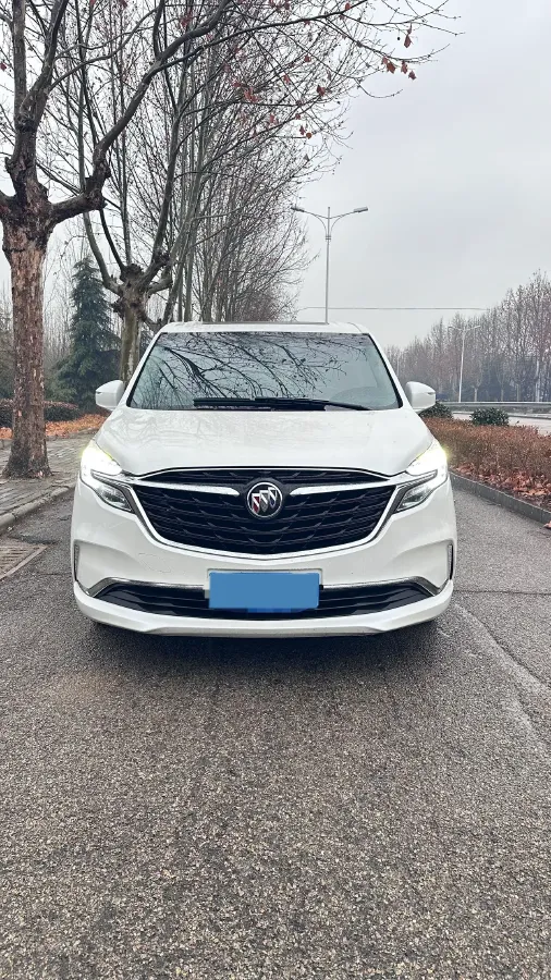 2020 Buick GL8 2.0T 237HP L4 9AT,autocango,china used car exporter,china ev exporter,chinese used car exporter,chinese used ev exporter