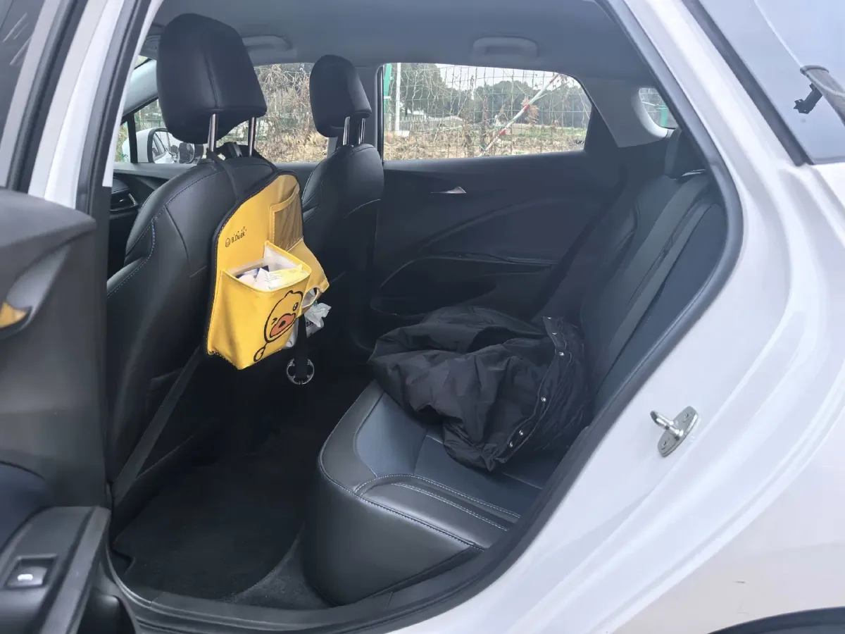 2024 Buick Velite 6 BEV 50.3KWH,autocango,china used car exporter,china ev exporter,chinese used car exporter,chinese used ev exporter