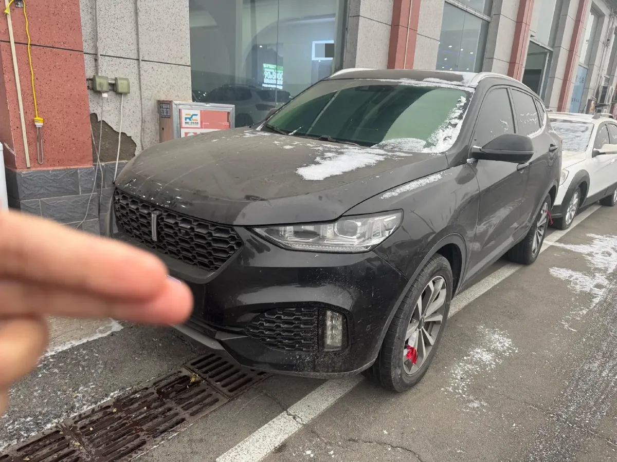 2018 WEY VV6 2.0T 197HP L4 7DCT,autocango,china used car exporter,china ev exporter,chinese used car exporter,chinese used ev exporter