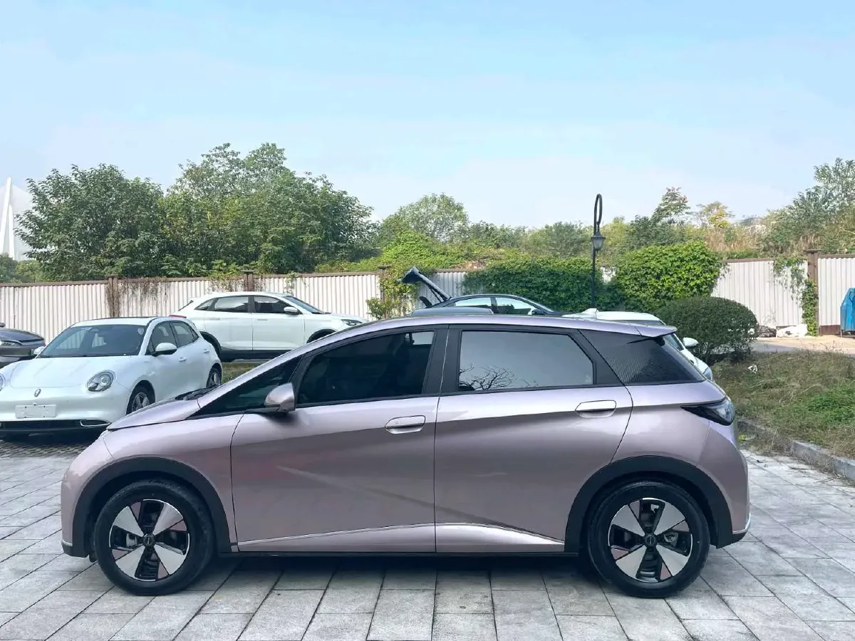 2023 BYD Dolphin BEV 44.928KWH,autocango,china used car exporter,china ev exporter,chinese used car exporter,chinese used ev exporter