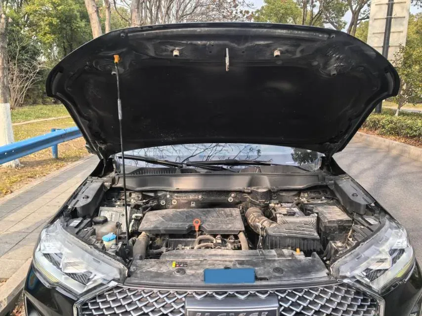 2021 Haval H6 1.5T 169HP L4 7DCT,autocango,china used car exporter,china ev exporter,chinese used car exporter,chinese used ev exporter