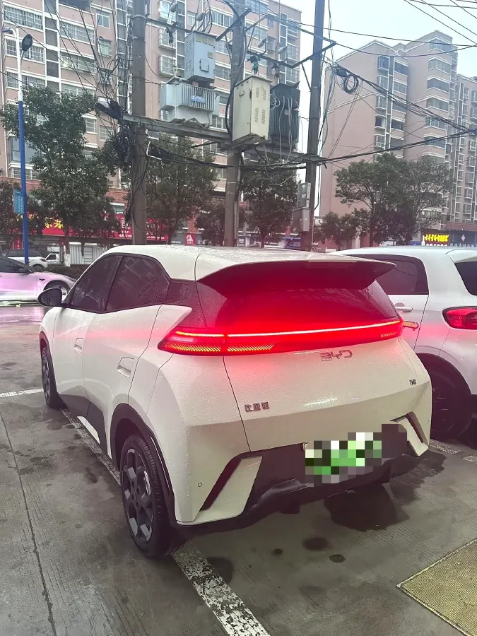 2025 BYD Seagull BEV 38.88KWH,autocango,china used car exporter,china ev exporter,chinese used car exporter,chinese used ev exporter