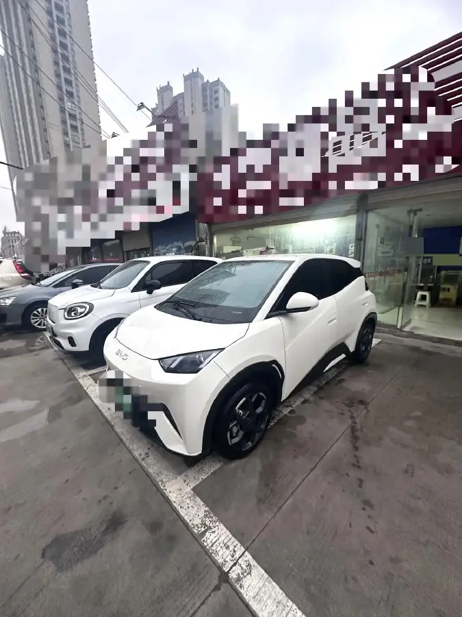 2025 BYD Seagull BEV 38.88KWH