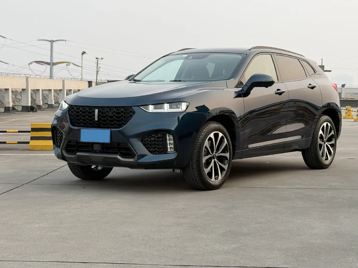 2019 WEY VV7 2.0T 234HP L4 7DCT,autocango,china used car exporter,china ev exporter,chinese used car exporter,chinese used ev exporter