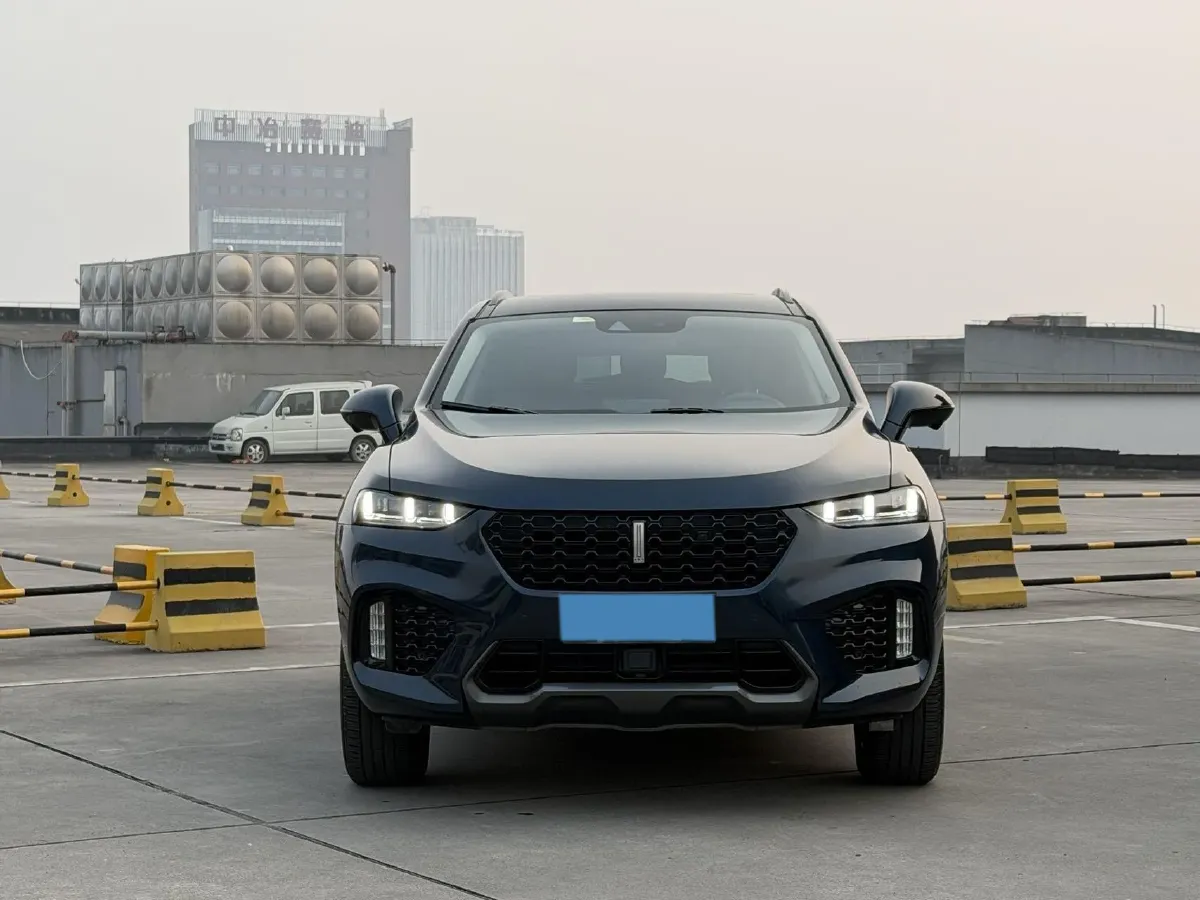 2019 WEY VV7 2.0T 234HP L4 7DCT,autocango,china used car exporter,china ev exporter,chinese used car exporter,chinese used ev exporter