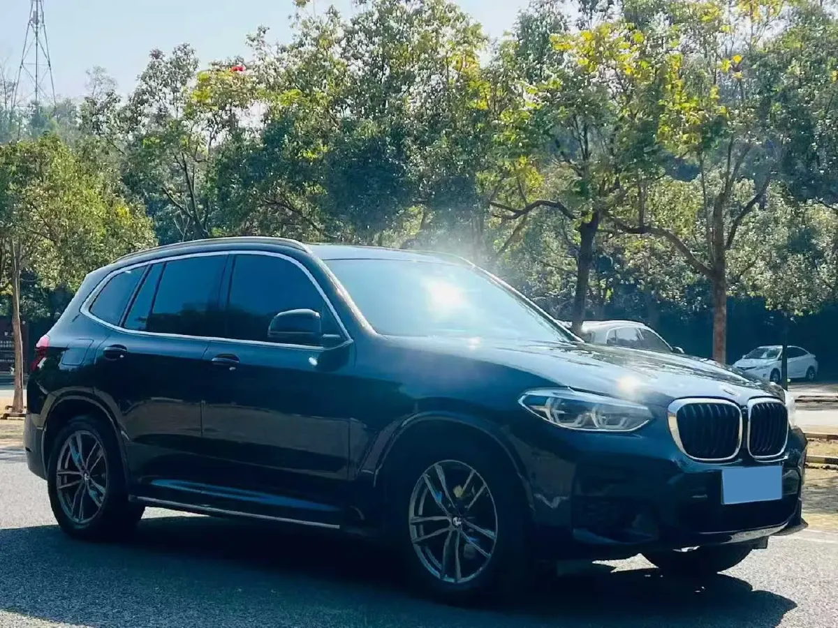 2021 BMW X3 2.0T 224HP L4 8AT,autocango,china used car exporter,china ev exporter,chinese used car exporter,chinese used ev exporter