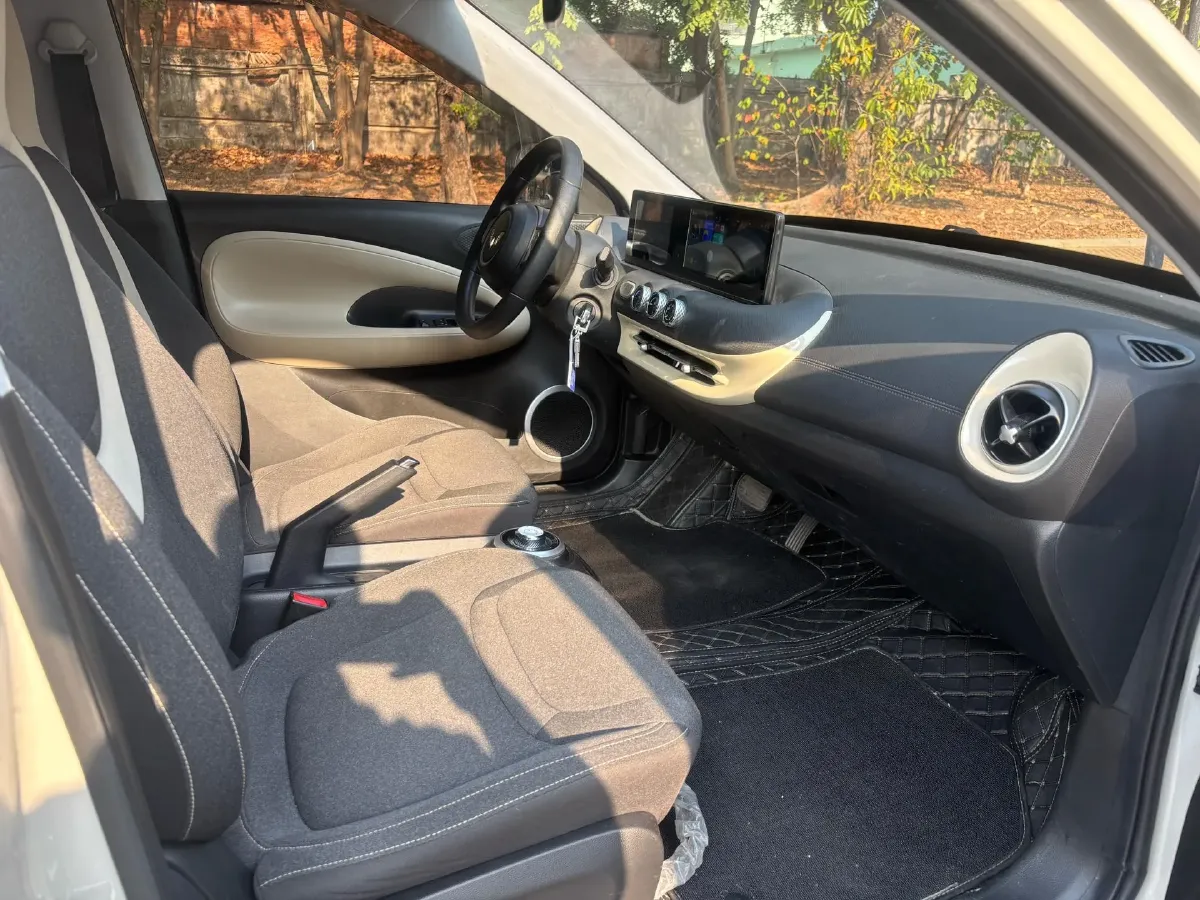 2023 WuLing BinGuo BEV 31.9KWH,autocango,china used car exporter,china ev exporter,chinese used car exporter,chinese used ev exporter