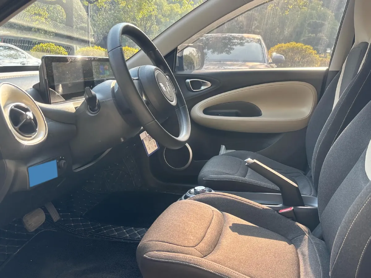 2023 WuLing BinGuo BEV 31.9KWH,autocango,china used car exporter,china ev exporter,chinese used car exporter,chinese used ev exporter