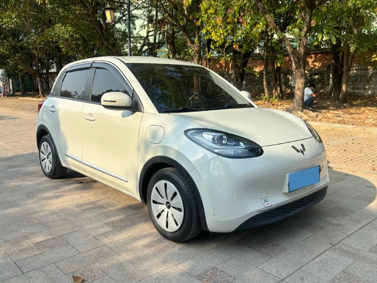 2023 WuLing BinGuo BEV 31.9KWH,autocango,china used car exporter,china ev exporter,chinese used car exporter,chinese used ev exporter