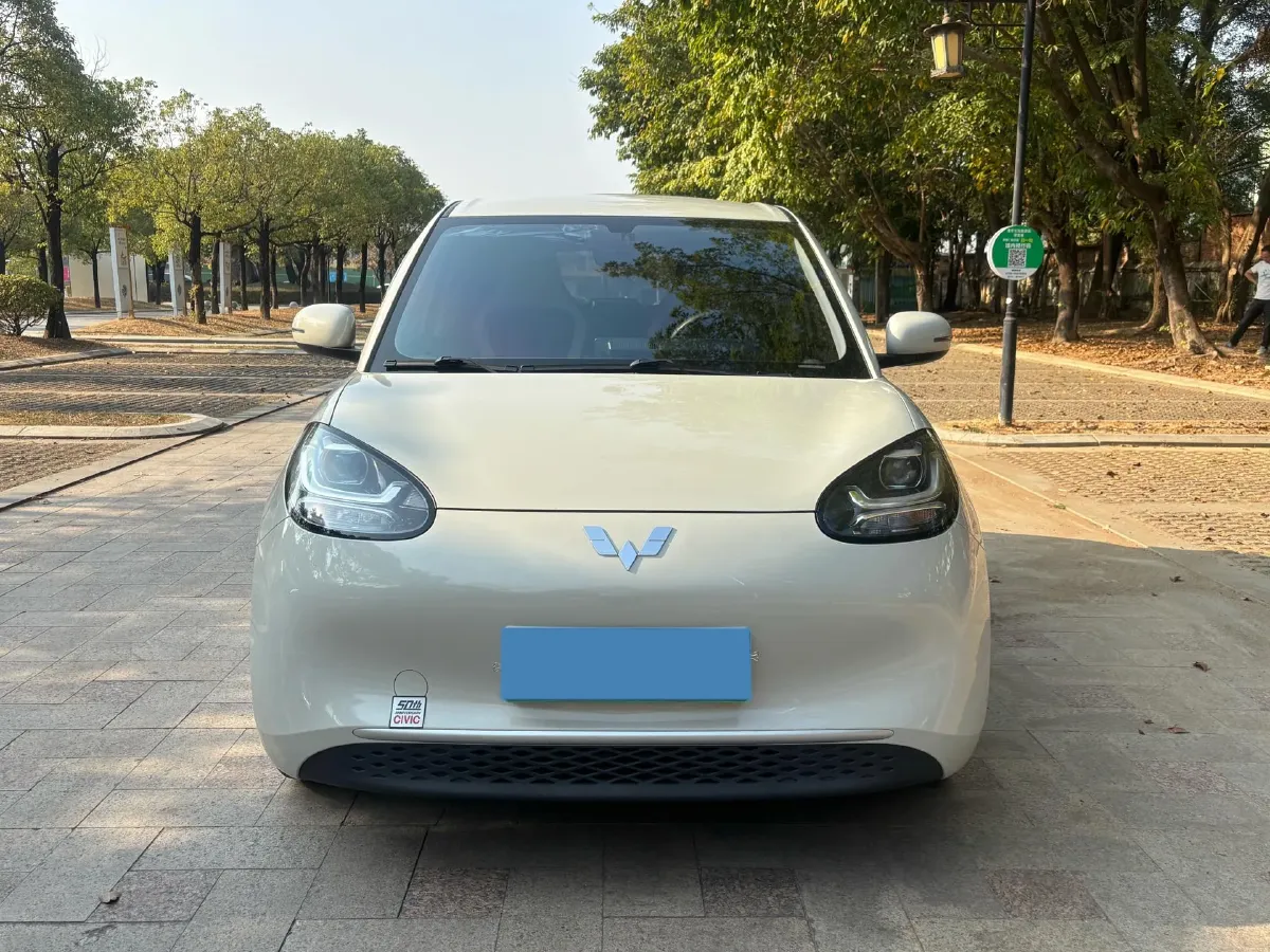 2023 WuLing BinGuo BEV 31.9KWH,autocango,china used car exporter,china ev exporter,chinese used car exporter,chinese used ev exporter