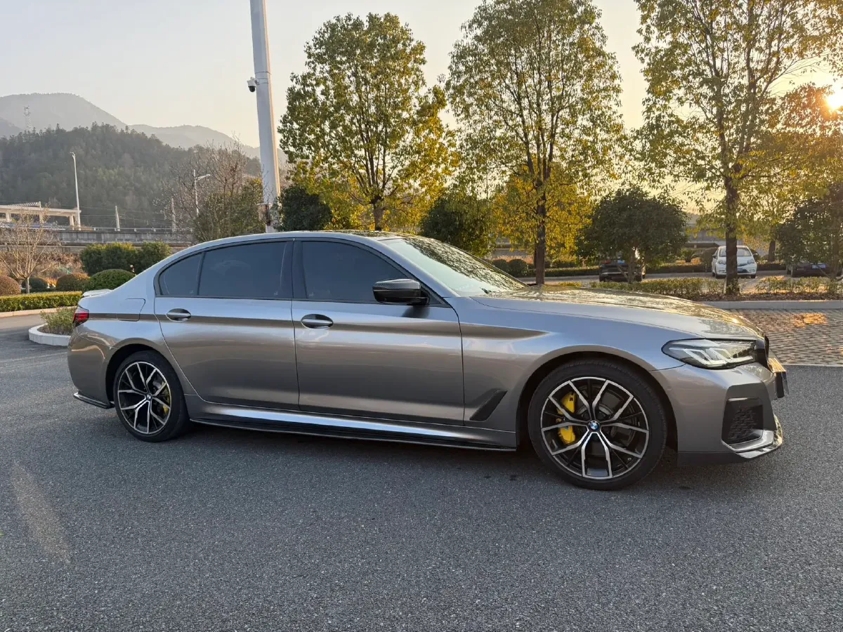 2021 BMW 5 Series 2.0T 252HP L4 8AT,autocango,china used car exporter,china ev exporter,chinese used car exporter,chinese used ev exporter