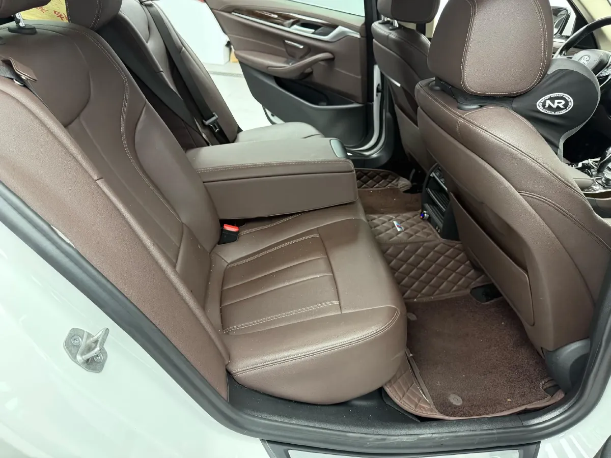2021 BMW 5 Series 2.0T 184HP L4 8AT PHEV 17.7KWH,autocango,china used car exporter,china ev exporter,chinese used car exporter,chinese used ev exporter