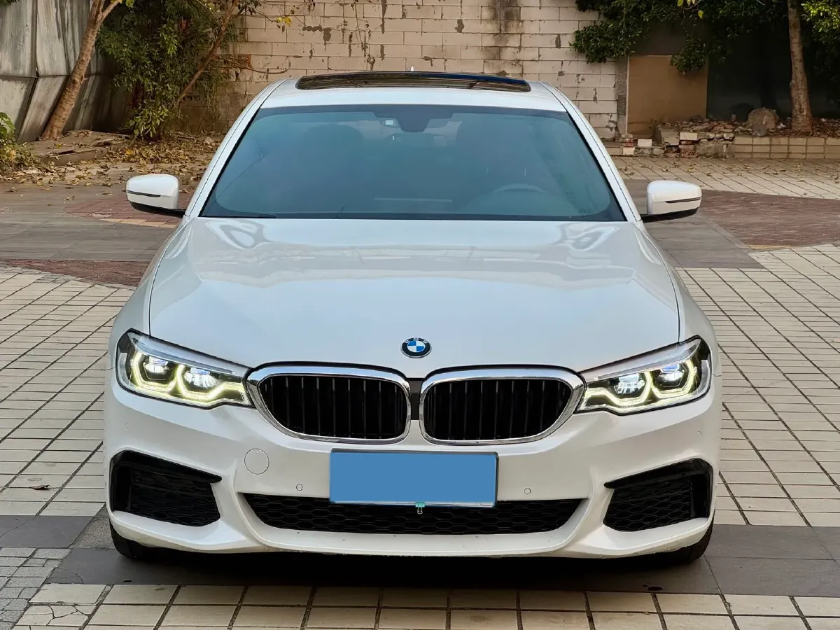 2020 BMW 5 Series 2.0T 252HP L4 8AT,autocango,china used car exporter,china ev exporter,chinese used car exporter,chinese used ev exporter