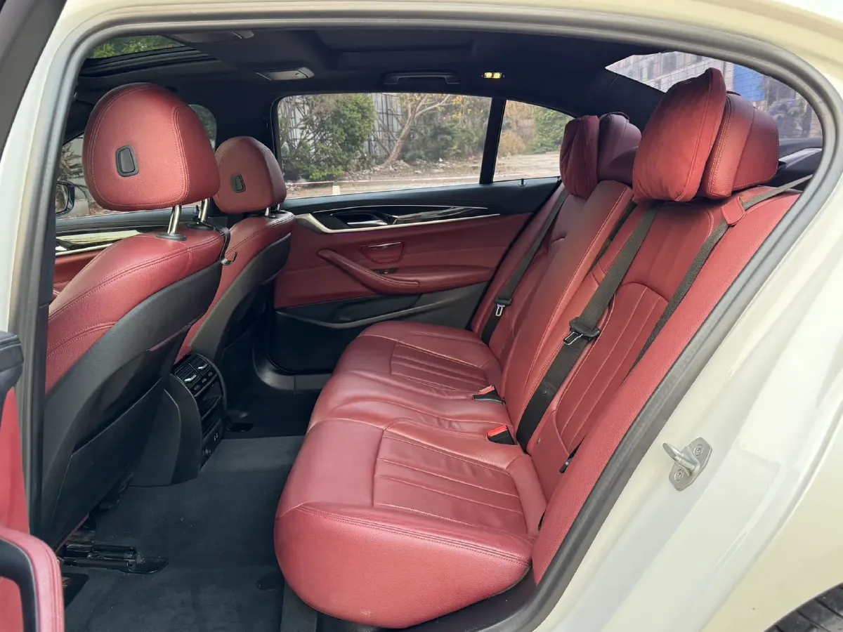 2020 BMW 5 Series 2.0T 252HP L4 8AT,autocango,china used car exporter,china ev exporter,chinese used car exporter,chinese used ev exporter