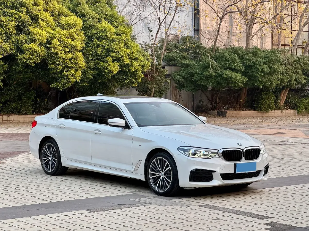 2020 BMW 5 Series 2.0T 252HP L4 8AT,autocango,china used car exporter,china ev exporter,chinese used car exporter,chinese used ev exporter
