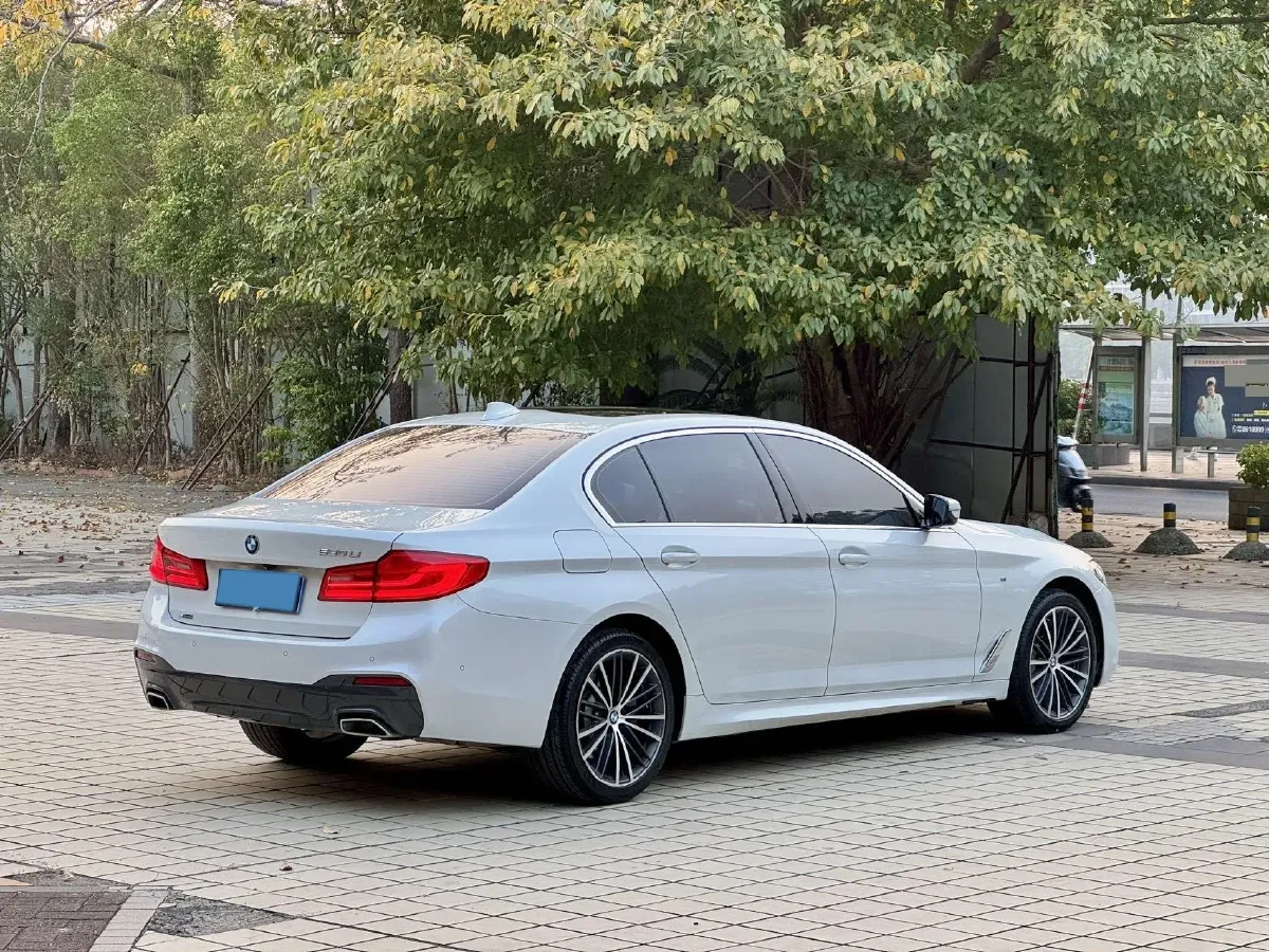 2020 BMW 5 Series 2.0T 252HP L4 8AT,autocango,china used car exporter,china ev exporter,chinese used car exporter,chinese used ev exporter